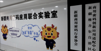 最快仅需20分钟，“华西造”3D-HSP打印系统进驻新疆