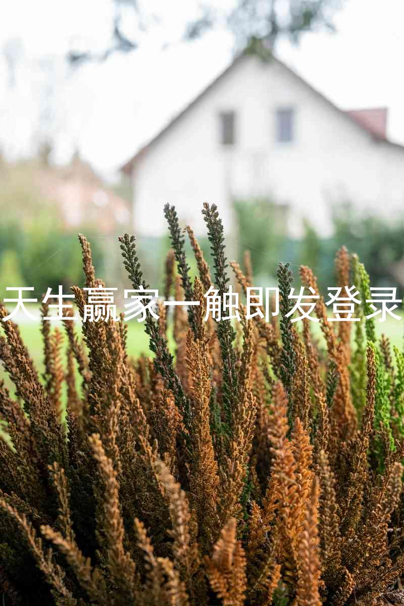 凯发天生赢家一触即发登录入口